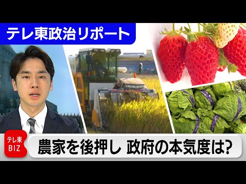 農村研究について詳しく解説