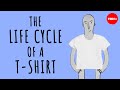 The Life Cycle Of A T Shirt Angel Chang