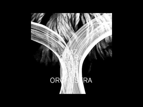 Raz Ohara - Raz Ohara And The Odd Orchestra II - Wildbirds