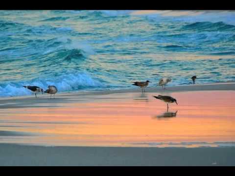Under A Blanket Of Blue - Stacey Kent
