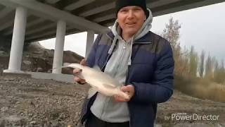 Рыбалка на реке казенный торец