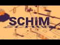 Gameplay video of SCHiM  PC