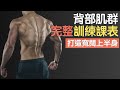 超完整!背部訓練課表安排|打造寬闊上半身