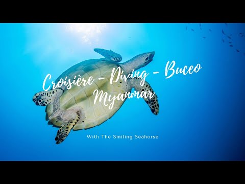 Croisière Birmanie - diving Burma - Buceo Birmania