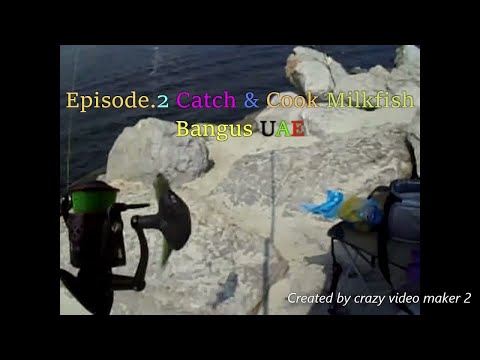 Episode.2 Catch and Cook Bangus Milkfish .