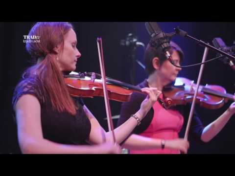 RANT perform "Strathbogie Toast" live at the Tolbooth