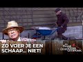 Uitslag kadaster erg ongunstig | Mr. Frank Visser doet uitspraak
