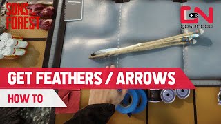 How to Get Feathers & Make Arrows in Sons of the Forest