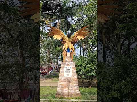 Carepa, Antioquia🦜🌴 #Carepa #Antioquia #Colombia #Shorts #Enrutadox #aventura #urabá #paisaje #tarde