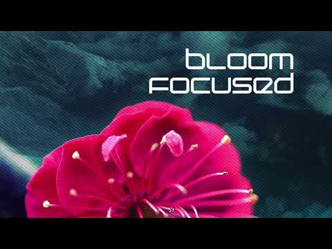 Bloom Focused - Sara