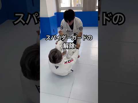 ［柔術テクニック］スパイダーガードの解除#bjj#柔術#ブラジリアン柔術