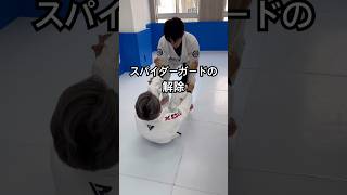 ［柔術テクニック］スパイダーガードの解除