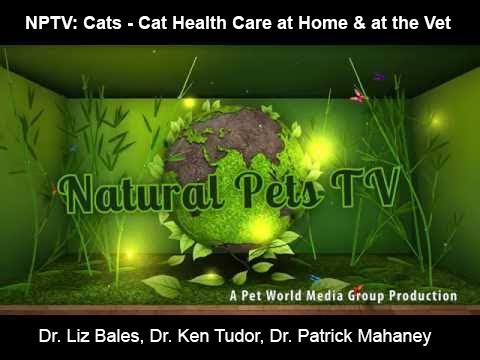 Natural Pets TV: Cats - Episode 7 - Natural Care + Home Treatments & Care