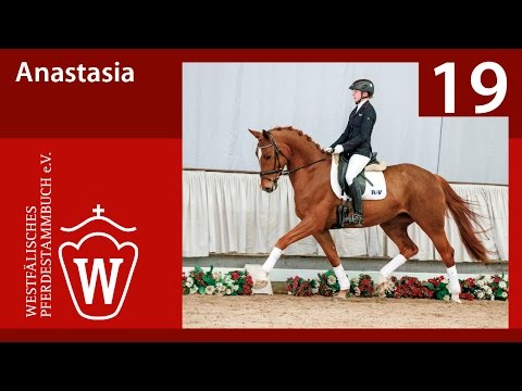 19 Anastasia Stute v. Antango - Fidertanz