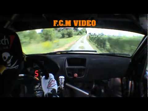 CameraCar Rally del Tartufo 2011 Bocchio - Mancini Peugeot 207 Super 2000