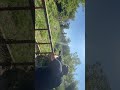 Tokarev TAR Mag Dump Kaboom