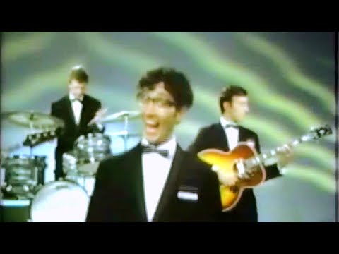 Freddie & The Dreamers - I'm Telling You Now (1965 Promo Video)