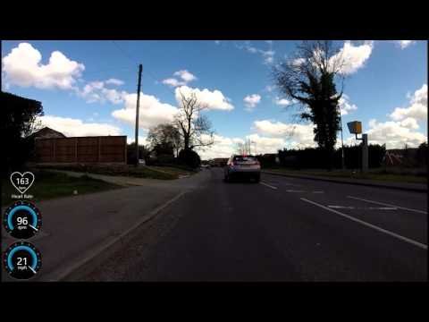 Stupid Fat Bitch - Near left hook