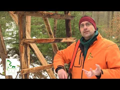 ÖJV Bayern - Jagen für den Wald