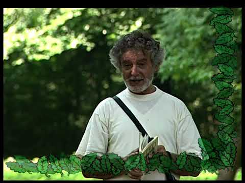 Dobrica Erić deci - Epizoda 02