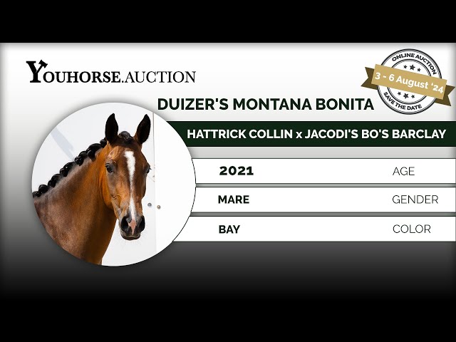 Duizer's Montana's Bonita