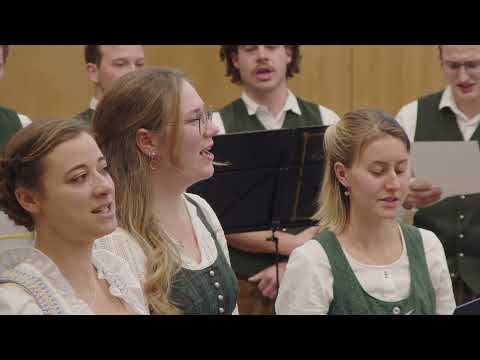 Wues'd A Herz Hast Wie A Bergwerk   Rainhard Fendrich