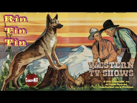 The Return of Rin Tin Tin (1947) | Full Movie | Rin Tin Tin Jr | Donald Woods | Robert Blake