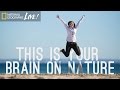 This Is Your Brain On Nature Nat Geo Live