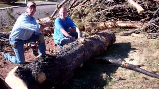Harvesting Burnt Trees for Furniture by Mitchell Dillman