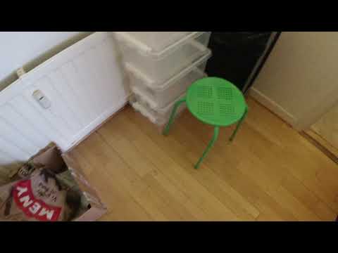 MongoTV_6394 - SÅ BLEV JEG KLIPPET OG NY FORSYNING AF MAD OG OPBEVARINGSBOXE