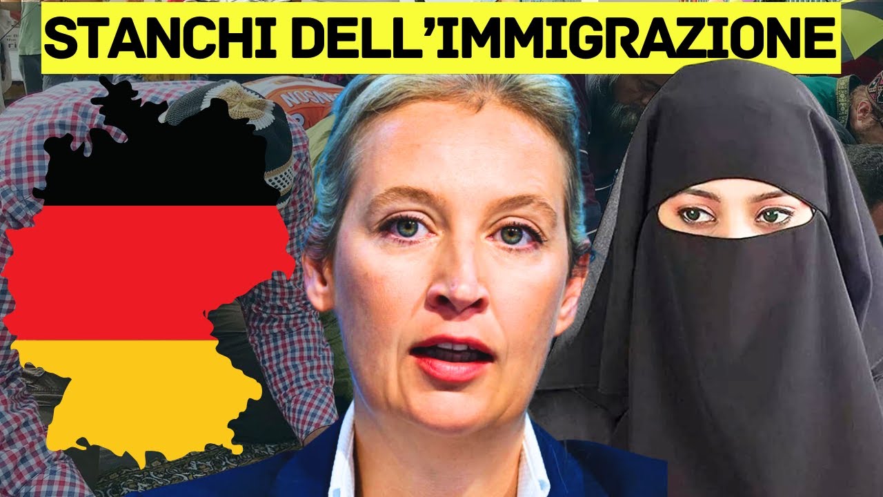 Come il fallimento dell'integrazione ha avvantaggiato AFD