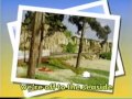 Percy S Seaside Trip Instrumental