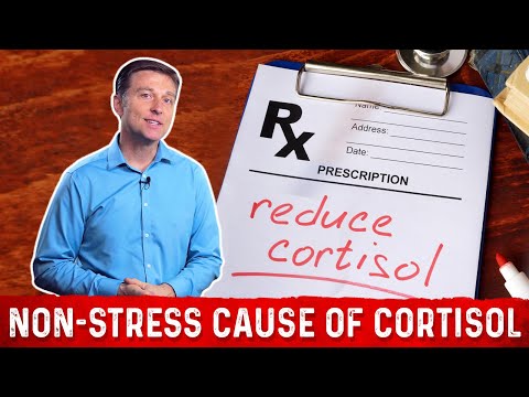 The Only Way to End Stress and Lower Cortisol
