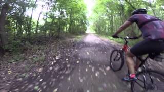 preview picture of video 'Swamp Forest Trail at Lums Pond State Park, Bear, DE'