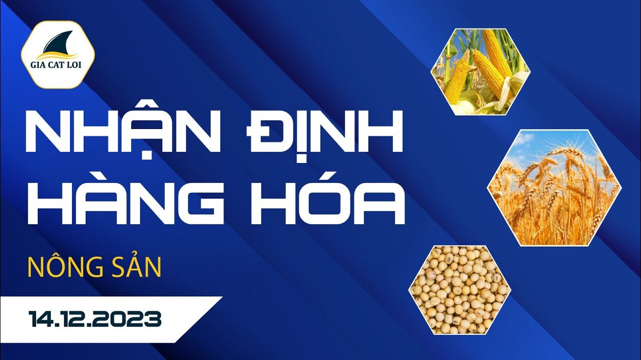 Nhận Định Hàng Hoá Nông Sản Ngày 14/12/2023