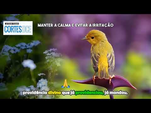 Cortes DcE #614 -Manter a calma e evitar a irritação -  Pai João da Angola