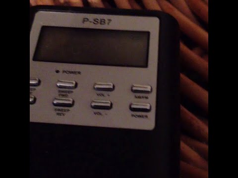 Steve Irwin Celebrity Ghost Box Interview Evp