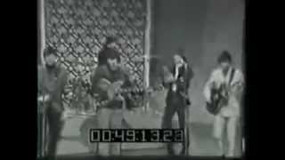 The Leaves - Hey Joe