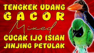 Download lagu TEMBAKAN MEWAH..!! TENGKEK UDANG GACOR mixed CUCAK IJO ISIAN JINJING PETULAK YANG LAGI VIRAL mp3