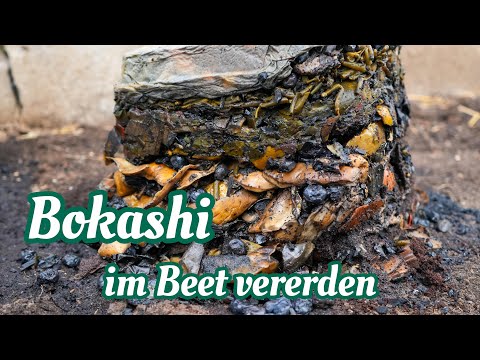 Bokashi | So bringst du ihn im Beet aus | Vererdung in der Vererdungstonne 💚
