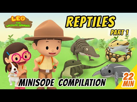 Reptiles Minisode Compilation (Part 1/2) - Leo The Wildlife Ranger | Animation | For Kids