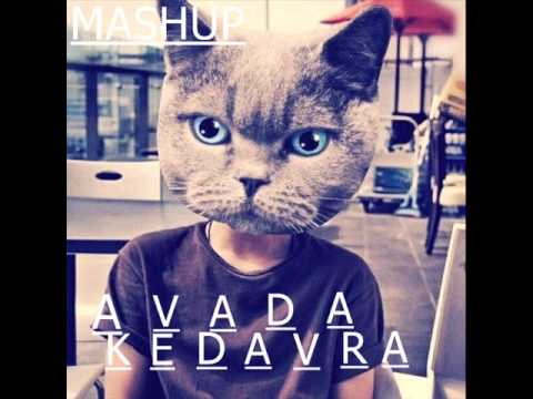 Zedd Vs Afrojack & Steve Aoki - No Beef Fuckin Slam The Door (Avada Kedavra Mashup)