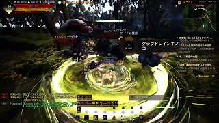 #268 MMORPG PS5 黒い砂漠 シーズンKNでポリの森で少しだけレベル上げ。実況少々。
