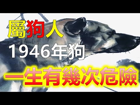 火狗年