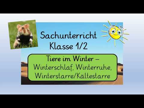 Tiere im Winter - Winterschlaf, Winterruhe, Winterstarre/Kältestarre (mit interaktiver Übung)