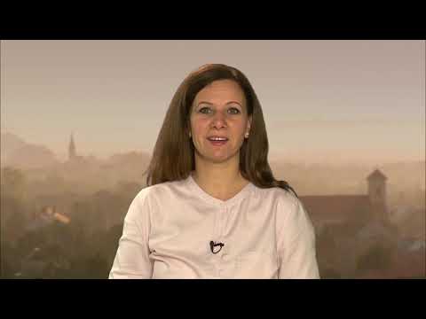 JTV Híradó 2019/43 - 2019.10.27.