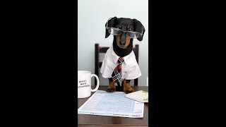 How a Dog Does Taxes