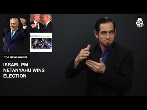 The Daily Moth 4-11-19