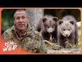The Secret Mission To Save Elusive Black Bears Ivan Carter