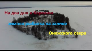 Ссылка